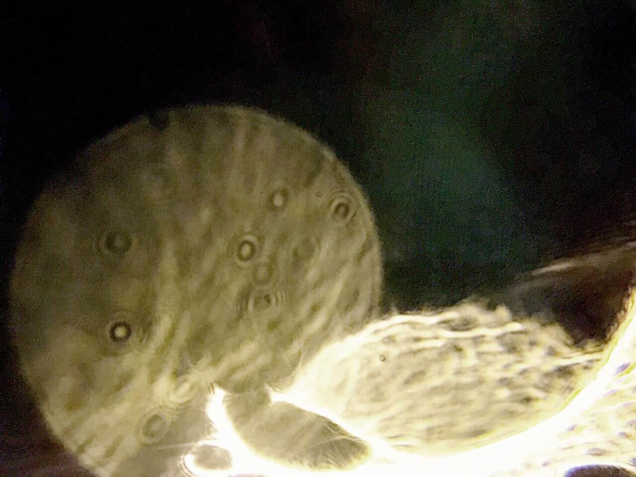 末法之刼,似乎已經天時不待人