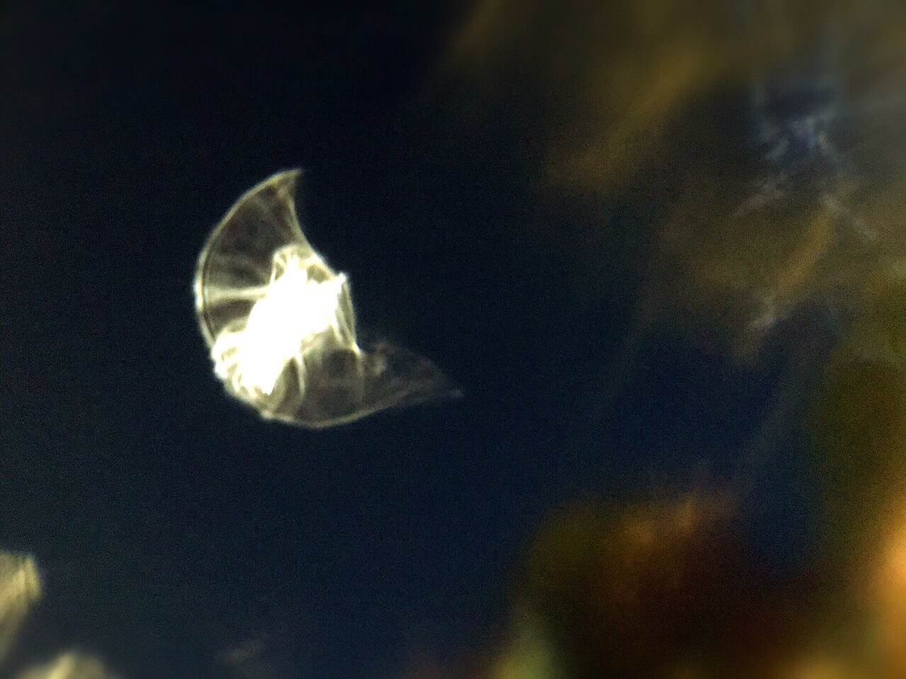 末法之刼,似乎已經天時不待人